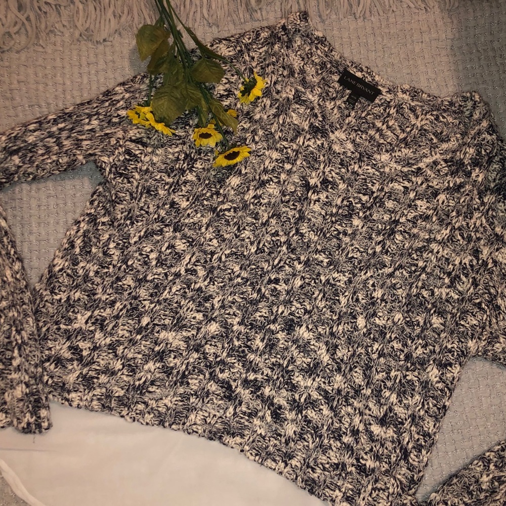 Lane Bryant Sweater